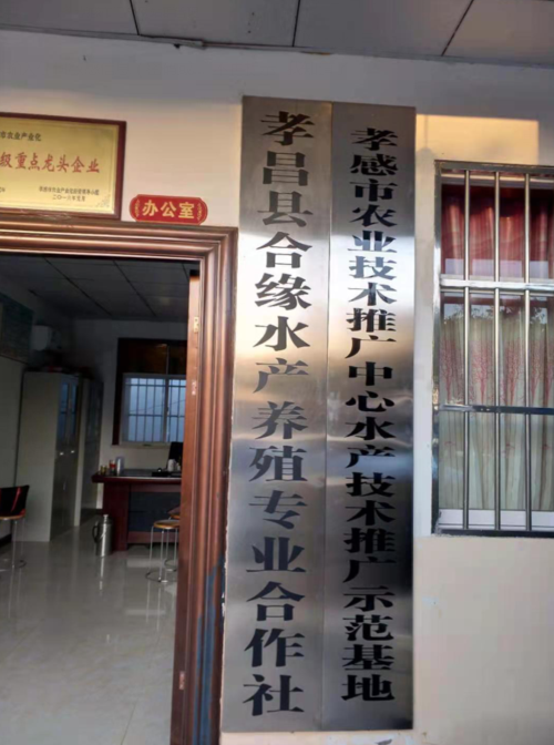 孝感北部渔业综合服务基地 鱼苗繁育、特色养殖与渔民培训一体化发展