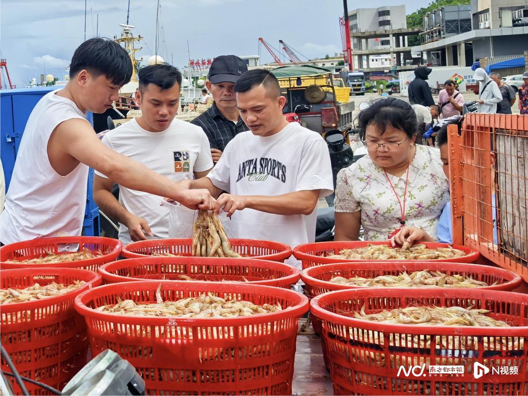 开渔48小时 渔港挑灯分拣忙，食客摸黑抢“鲜”尝——南海渔需物资销售同步升温