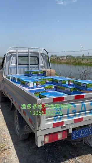 水产业蓬勃发展下的渔需物资销售 以渔多多为例